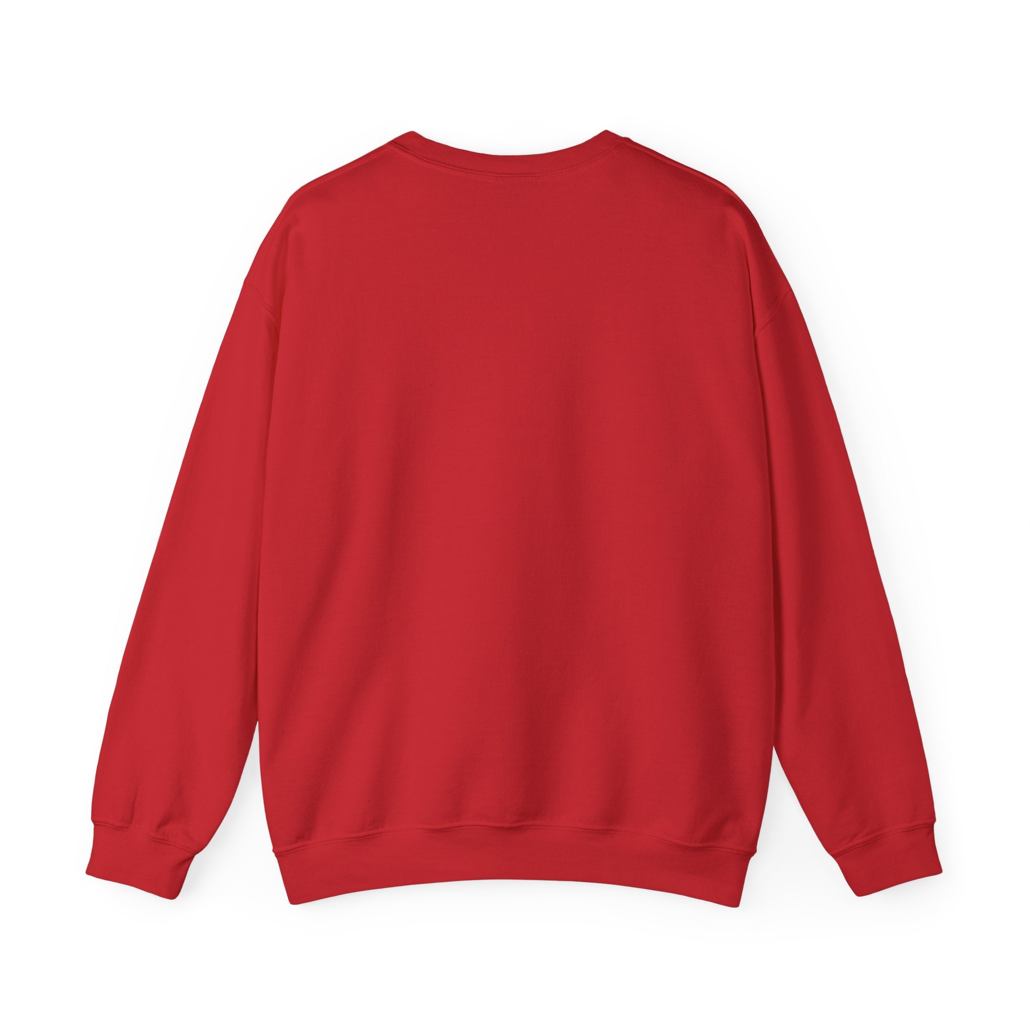 Sweatshirt - It’s Not Just a Hobby  It’s a Lifestyle