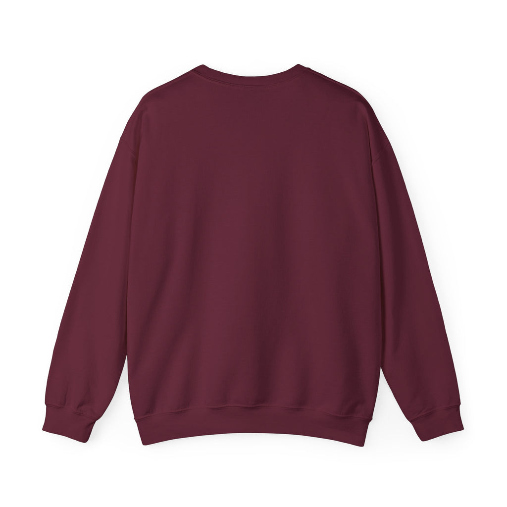 Sweatshirt - It’s Not Just a Hobby  It’s a Lifestyle - Color