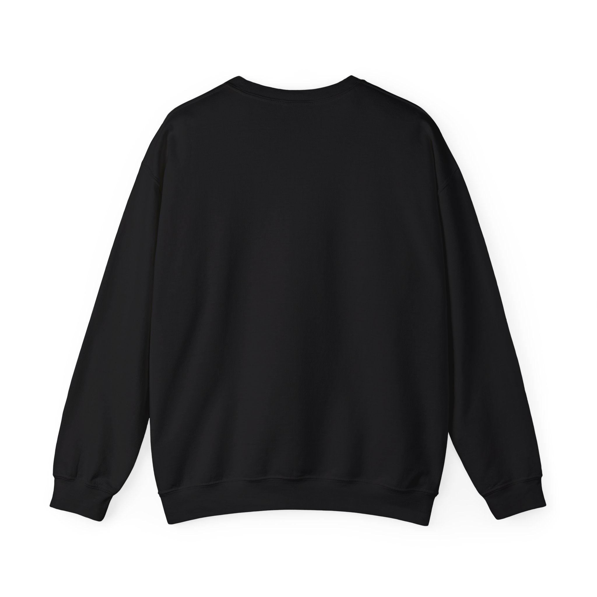 Sweatshirt - It’s Not Just a Hobby  It’s a Lifestyle - Color