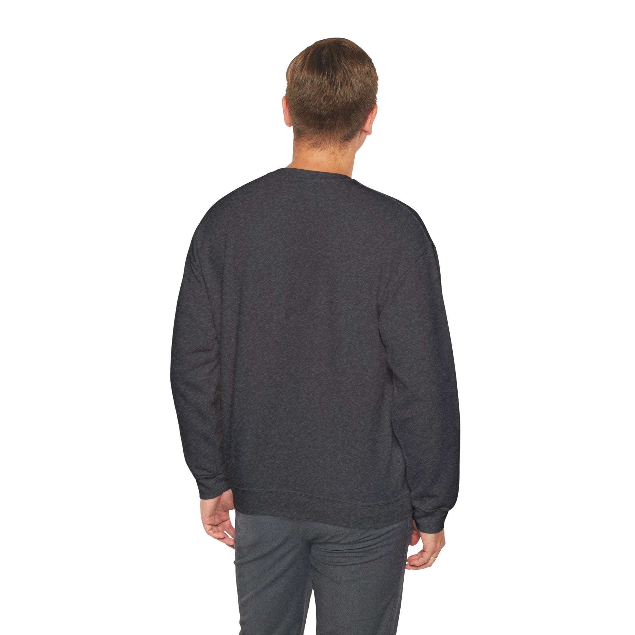 Sweatshirt - It’s Not Just a Hobby  It’s a Lifestyle - Color