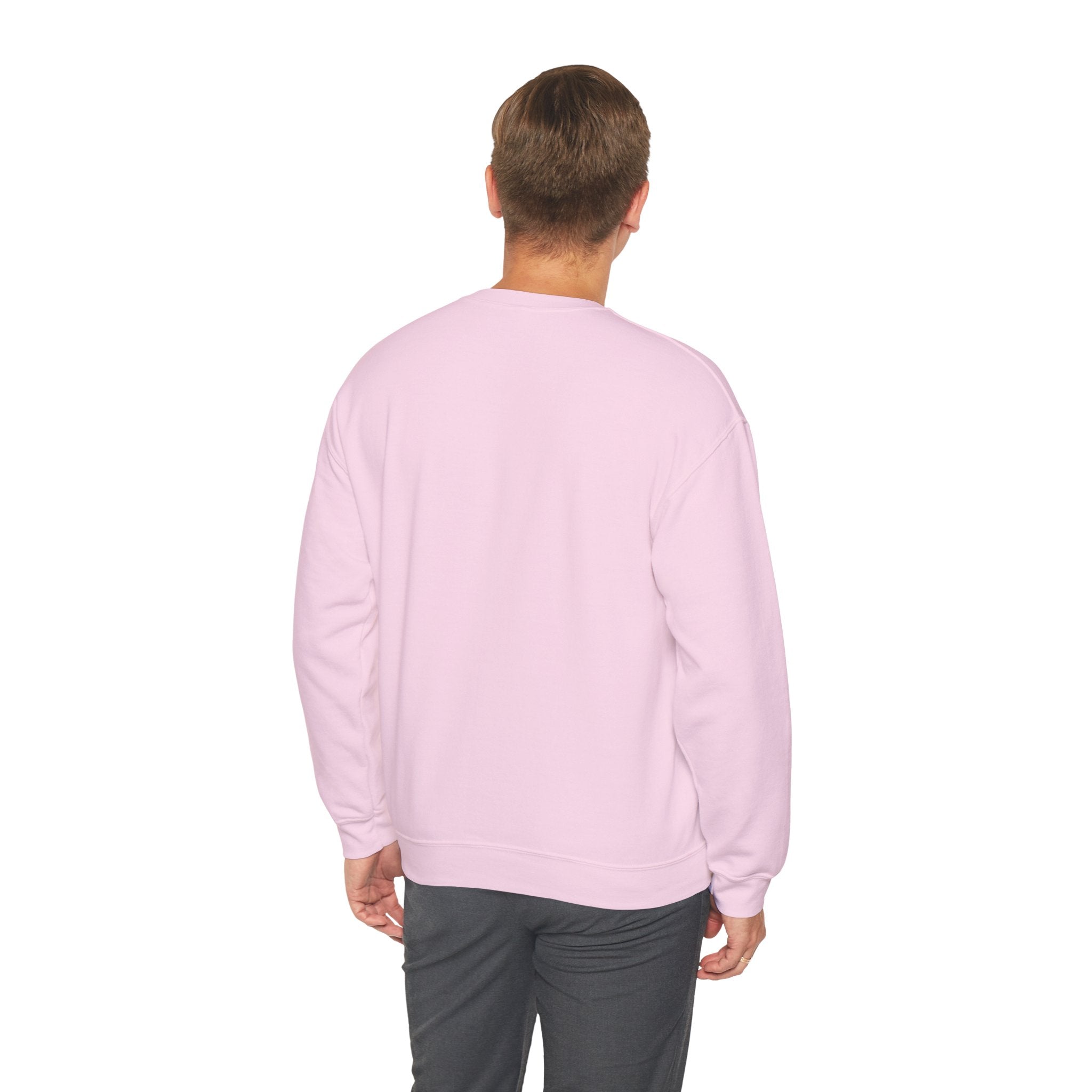 Sweatshirt - It’s Not Just a Hobby  It’s a Lifestyle