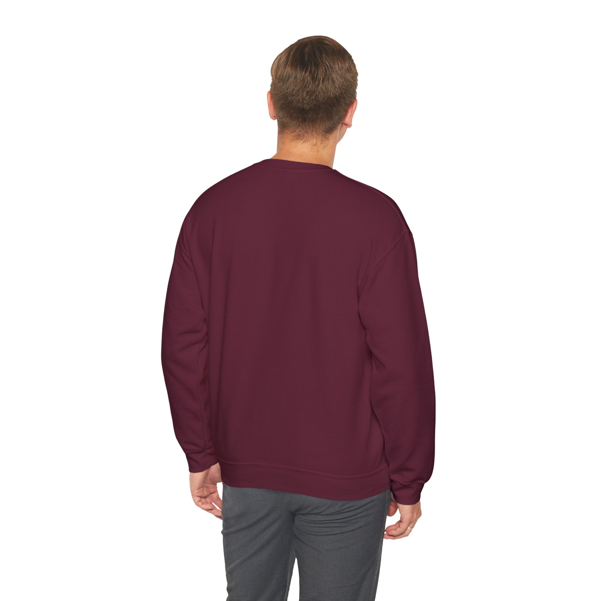 Sweatshirt - It’s Not Just a Hobby  It’s a Lifestyle - Color